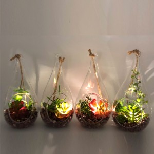 Plantas suculentos artificiais decorativas do Tabletop de vidro do diodo emissor de luz com o vaso da exposição do globo