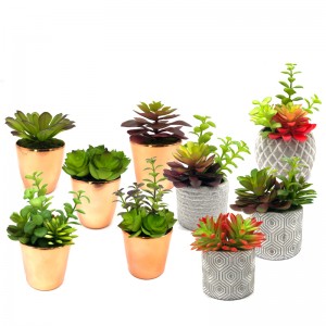 Mini Plantas Suculentas Artificiais Com Panela Decorativo Globo de Mesa Display Home Decor